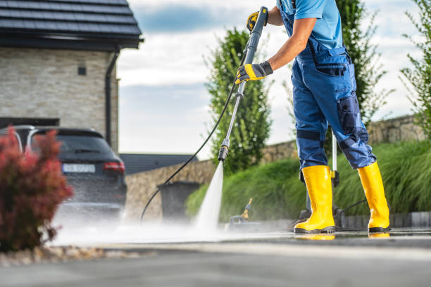Best Gutter Cleaning  in Lady Lake, FL